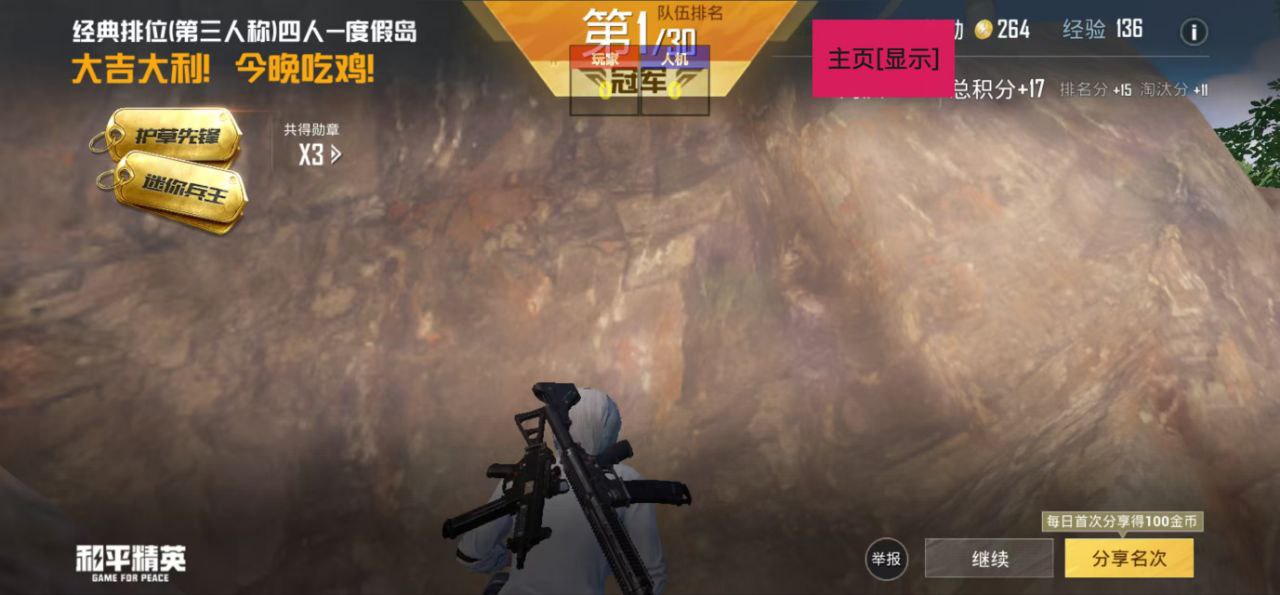 和平精英【EAD内部】辅助