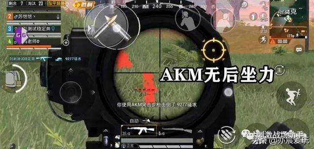 和平精英「路易威登」外挂